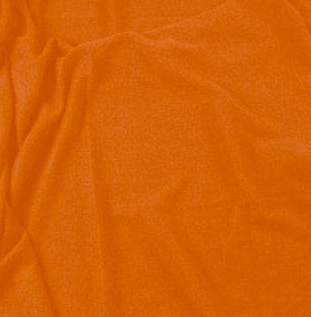 Kashmiri Luxury Cashmere Shawl Burnt Orange