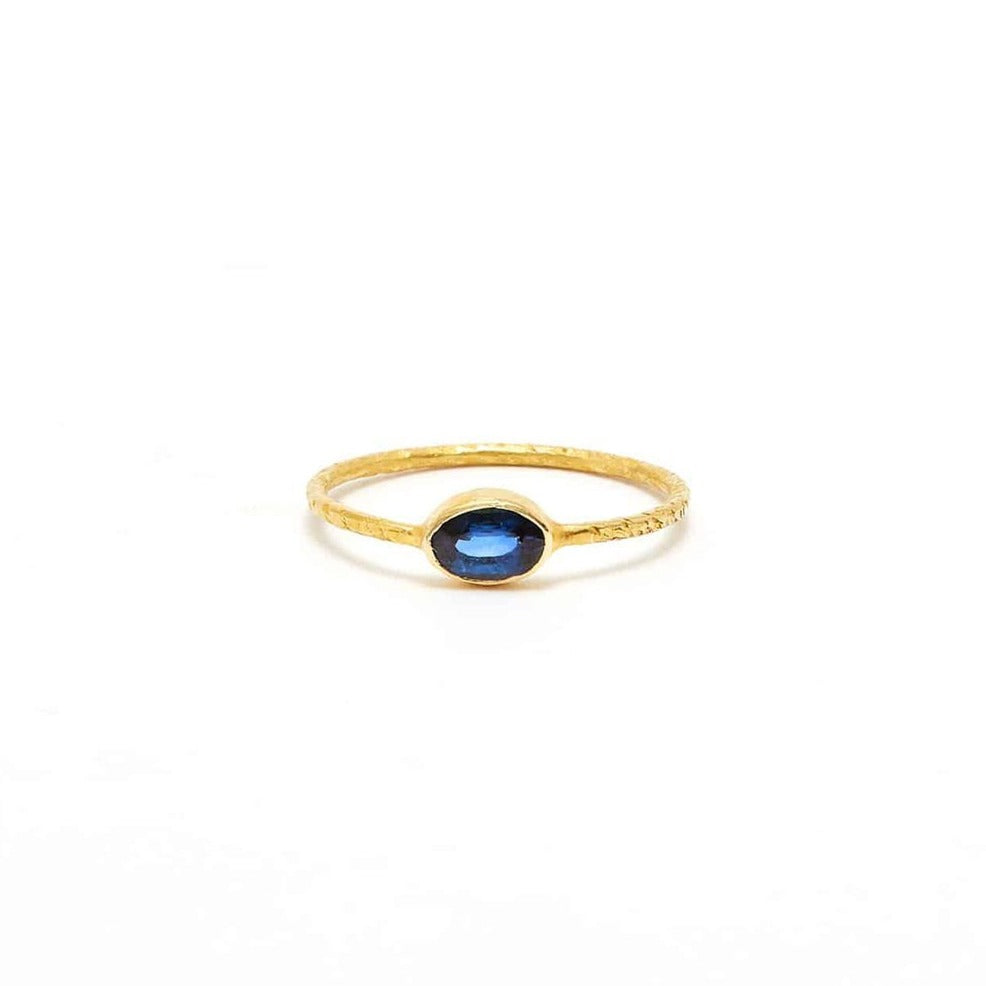 Petit Sapphire Navratan Hammered Gold Ring